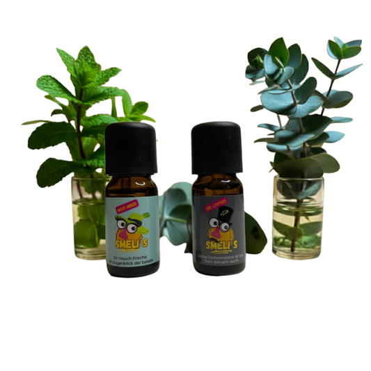 Smeli’s Royal Fresh Edition – Die Royal Fresh-Familie