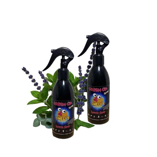 Fresh Up Spray – Vorteilspack (2× 250 ml)